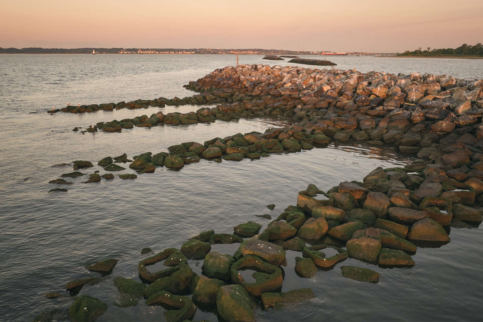 Kate Orff / SCAPE, Living Breakwaters, Staten Island, New York, VS, 2025